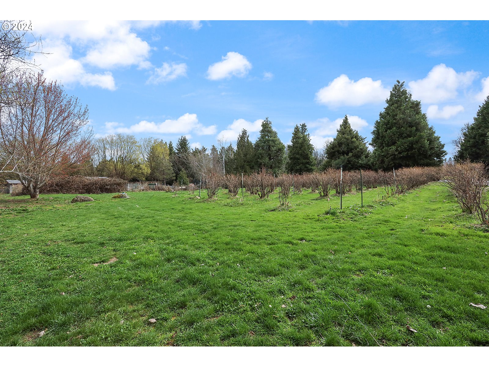 1190 Methodist Road Hood River, OR 97031 - Photo 4 of 41 a view of a park