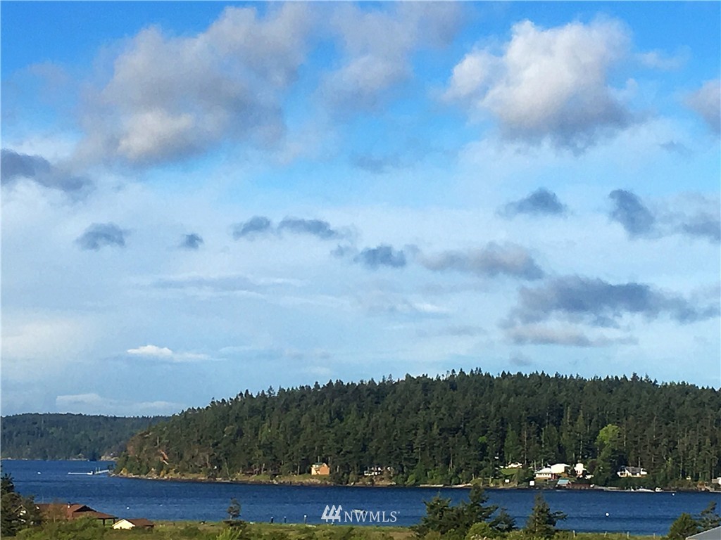 44 Beach Court Decatur Island, WA 98221 - Photo 2 of 25