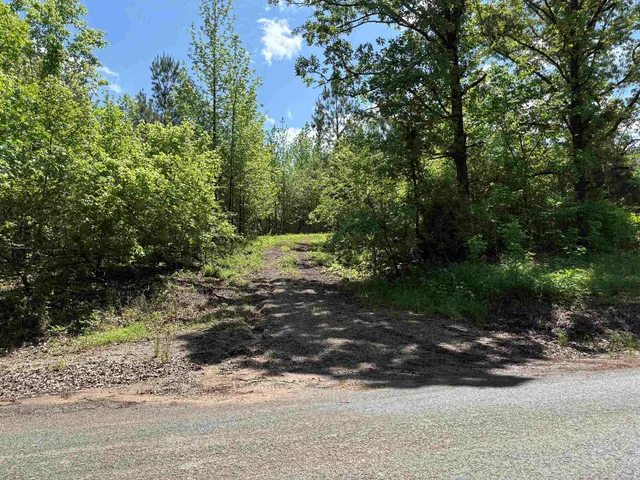 a big yard with lots of green space and trees