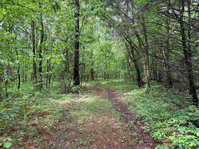 a view of outdoor space and green space