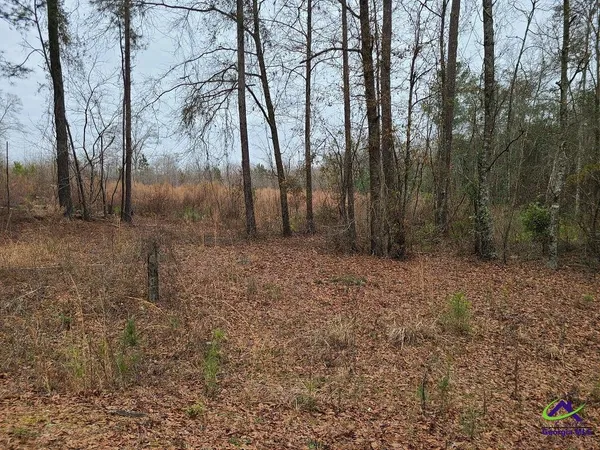 $28,000 | 0 Willow Lake Road, Fort Valley, GA 31030