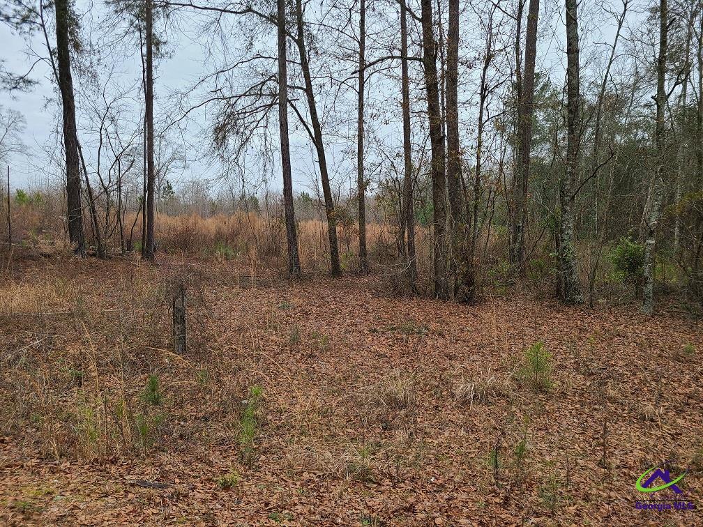0 Willow Lake Road Fort Valley, GA 31030 - Photo 1 of 9