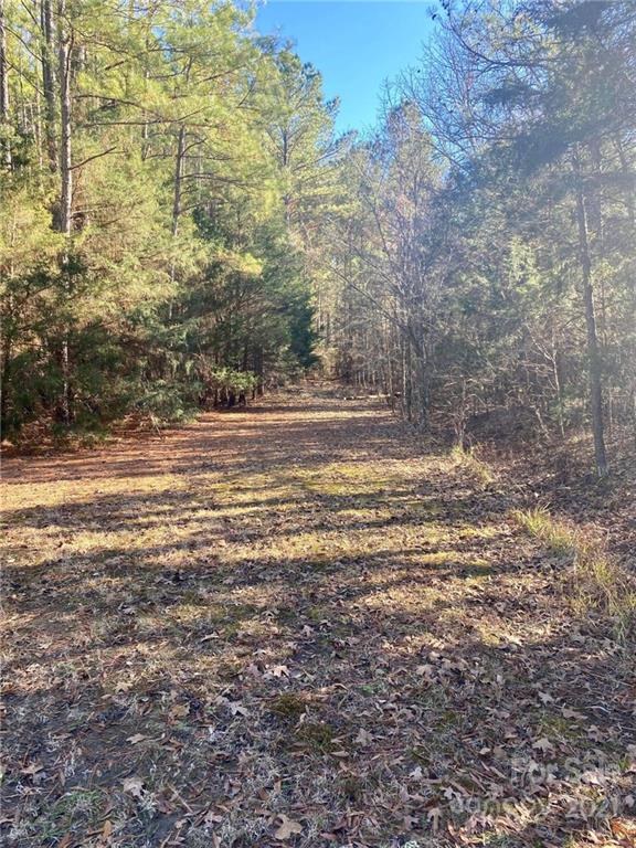 4181 Williamson Road Rock Hill, SC 29730 - Photo 22 of 28 Gallery Image 22