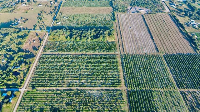 a green field with trees in the background