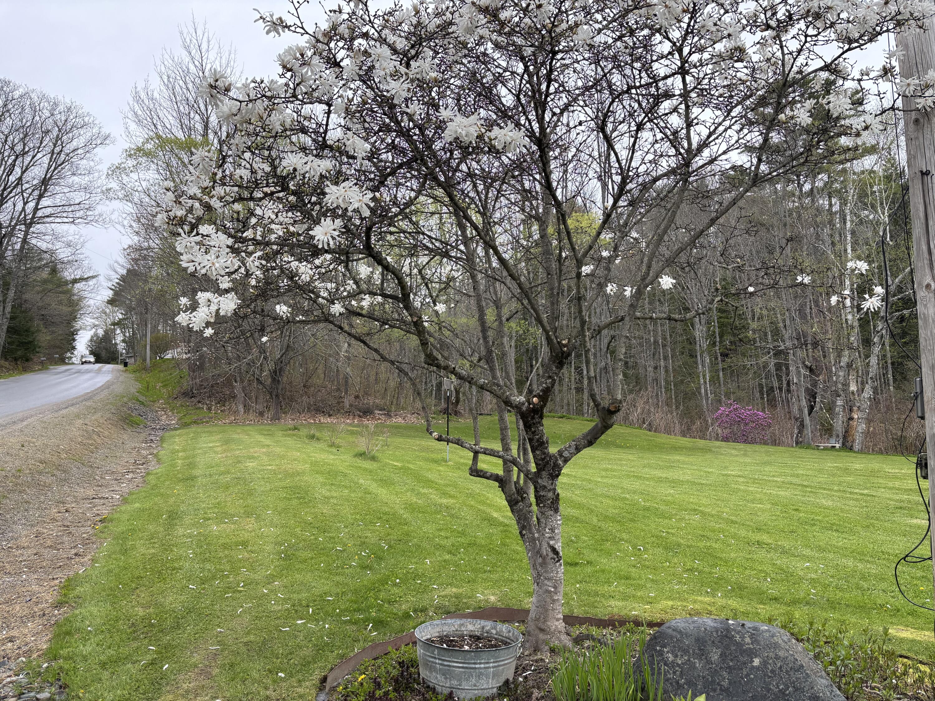 11 Baker Road Winterport, ME 04496 - Photo 10 of 57 Side Yard/Street