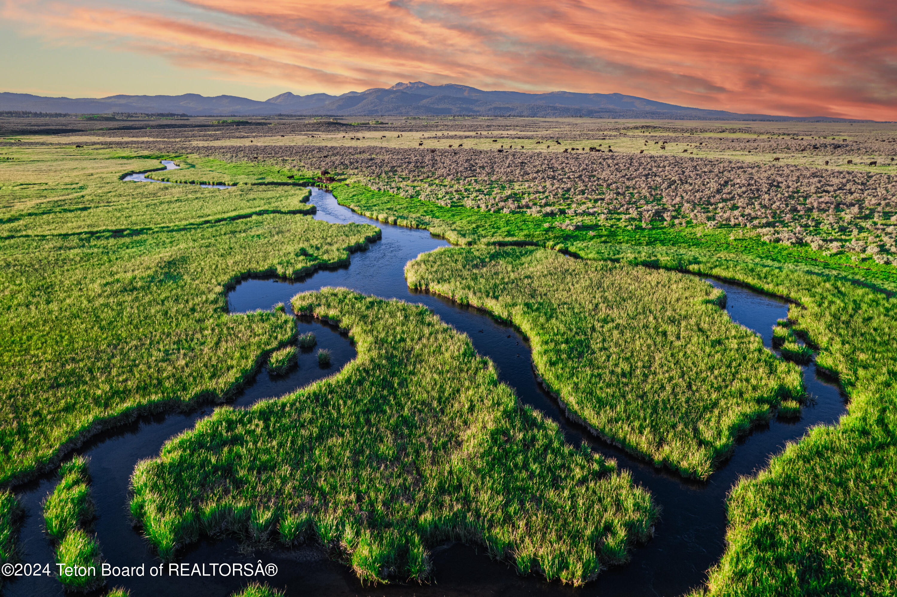 Ice House Creek Ranch