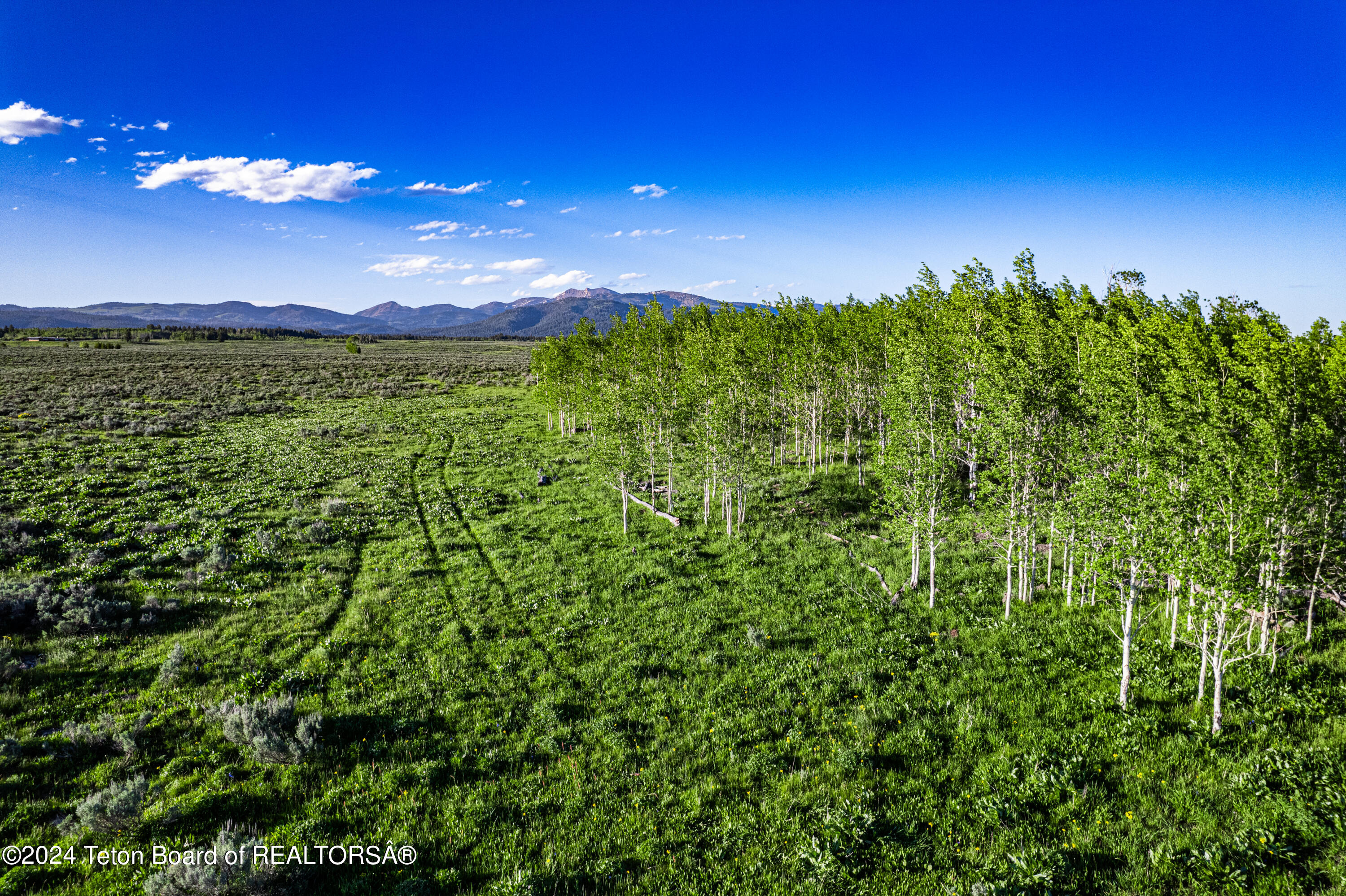 Tbd Old Shotgun Road Island Park, ID 83429 - Photo 5 of 14 Aspen Groves and Meadows