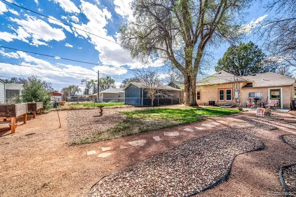 a view of a yard with a large tree