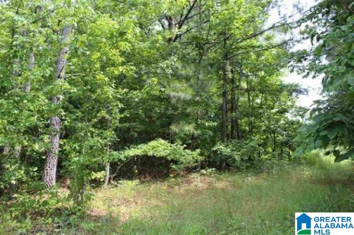 1 Shadow Oaks Way, Unit 59 2 ACRES Sterrett, AL 35147 - Photo 3 of 4