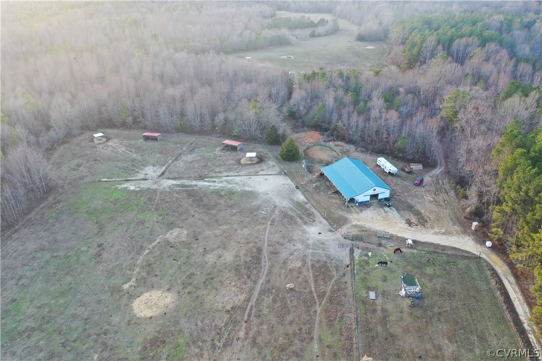 3071 Afton Grove Road Kenbridge, VA 23944 - Photo 22 of 30 a view of a dry yard with trees