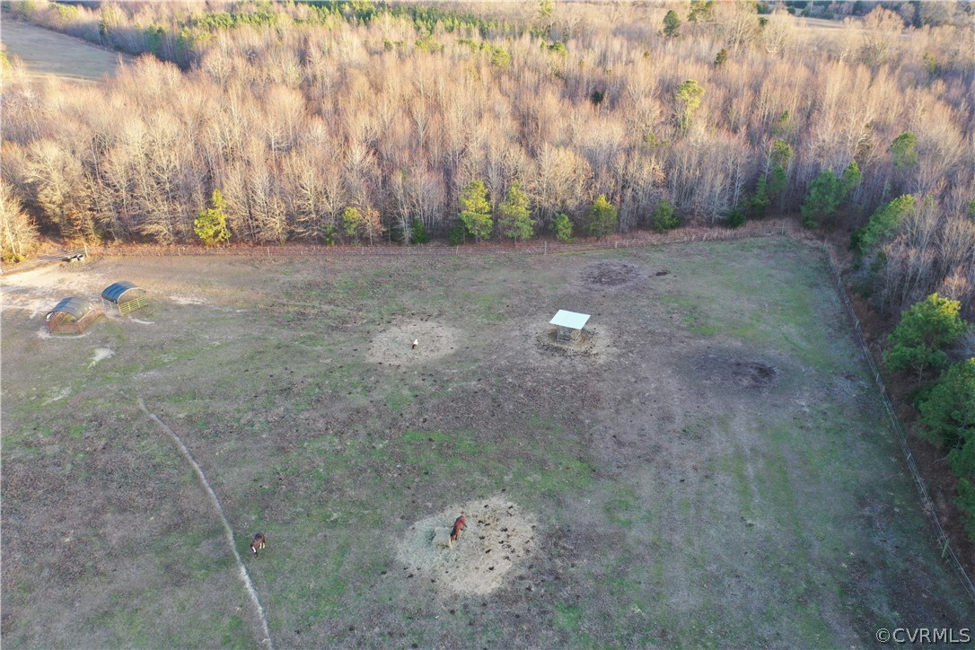 3071 Afton Grove Road Kenbridge, VA 23944 - Photo 29 of 30 a view of a dry yard with trees in the background