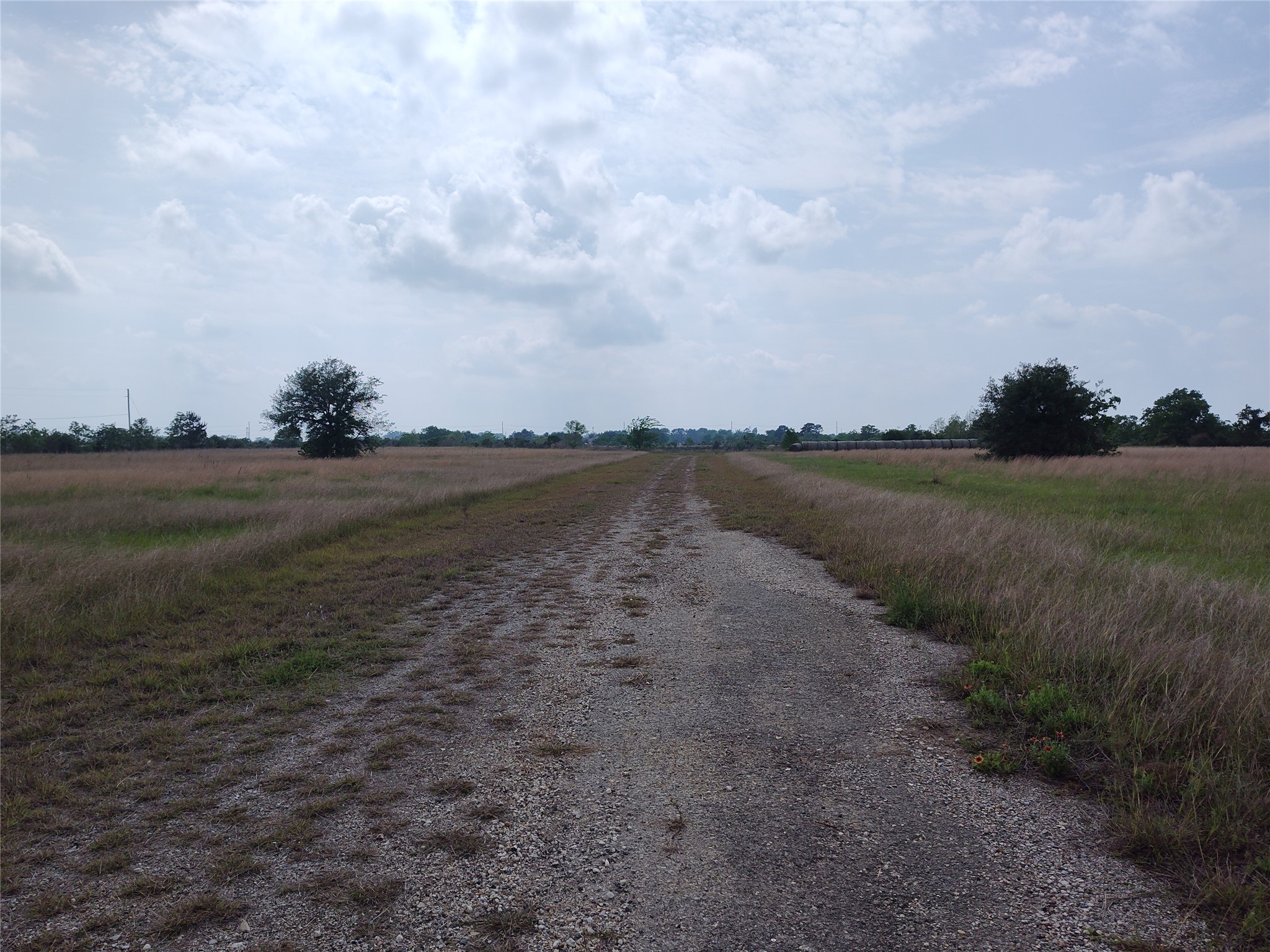19709 Becker Road Hockley, TX 77447 - Photo 5 of 7