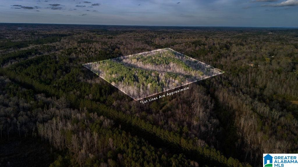 0 Alma Road, Unit 1 Jasper, AL 35501 - Photo 3 of 5