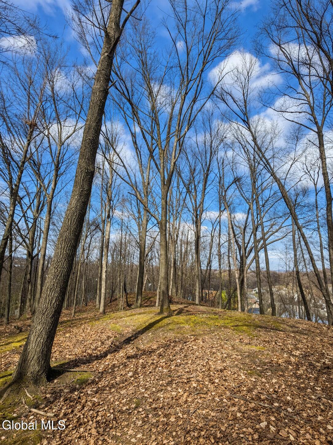 0 Prospect Way Rensselaer, NY 12144 - Photo 2 of 4 Prospect Way image 4