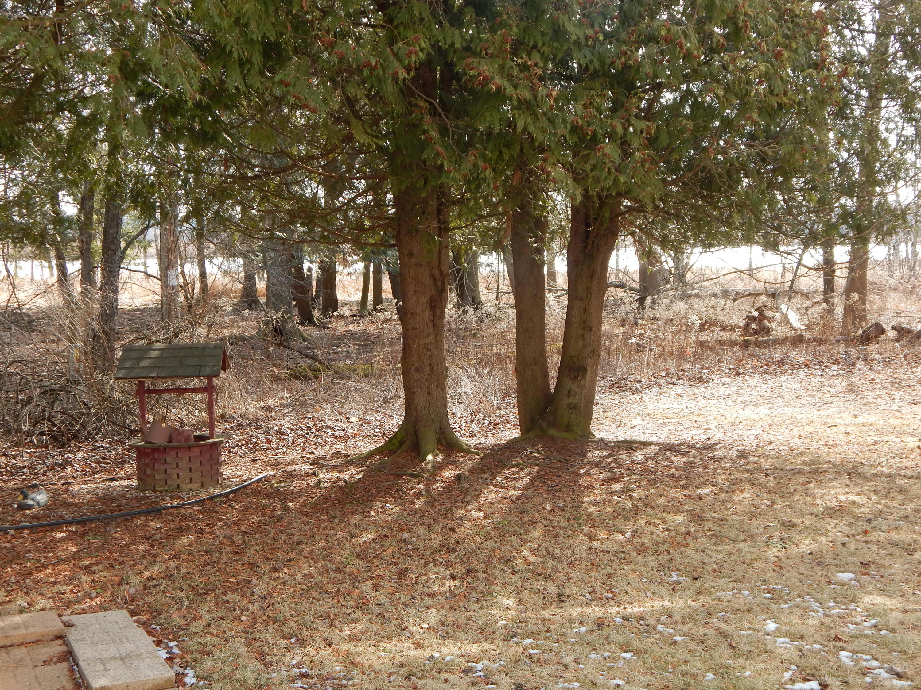 2711-2713 31st Street Two Rivers, WI 54241 - Photo 3 of 20 Back Yard