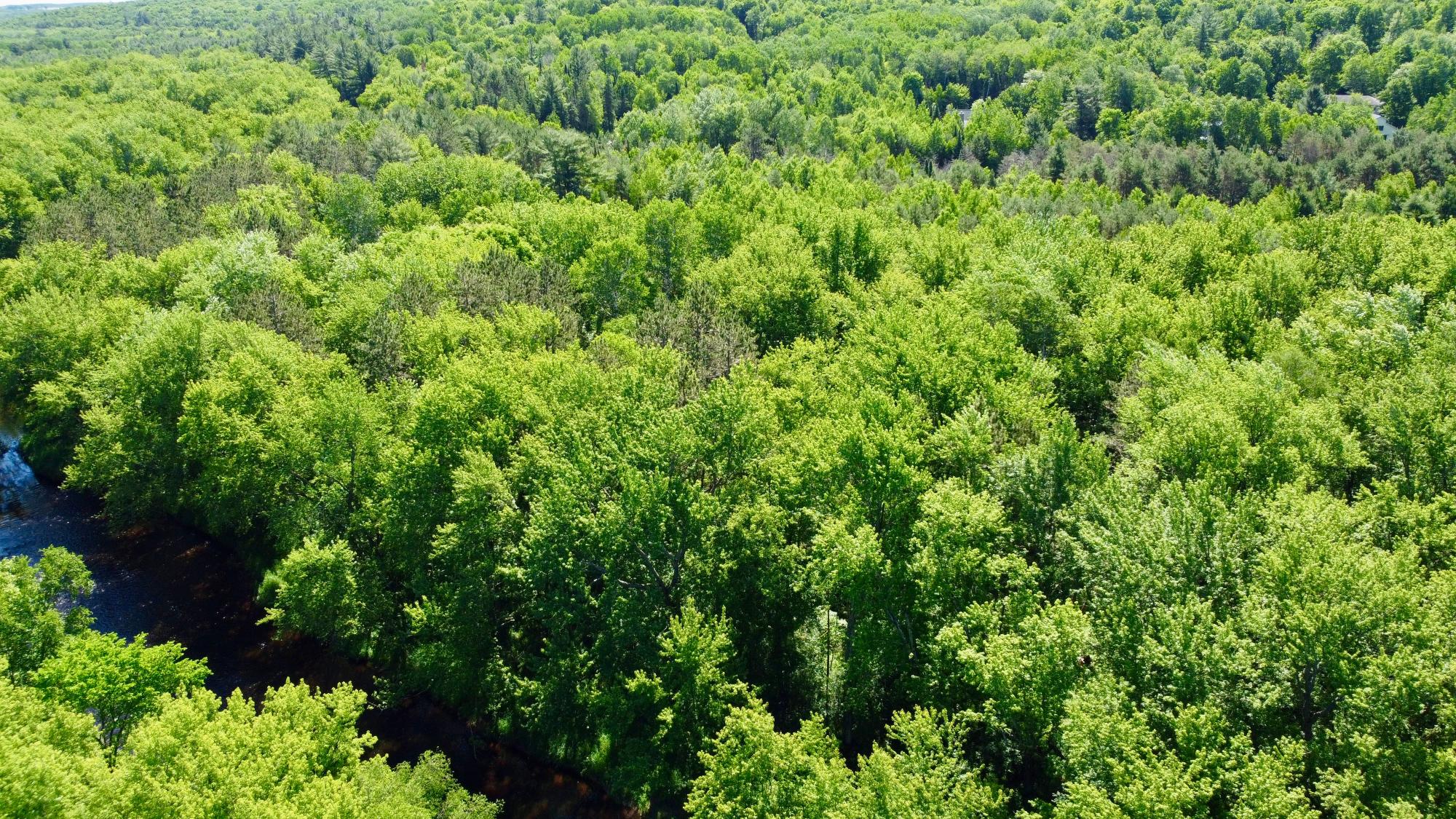 Lot 7 Pine River Road Tomahawk, WI 54487 - Photo 19 of 22
