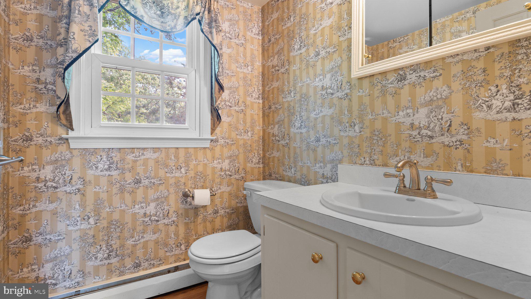 741 Spring Valley Road Doylestown, PA 18901 - Photo 36 of 41 a bathroom with a sink a toilet and a mirror
