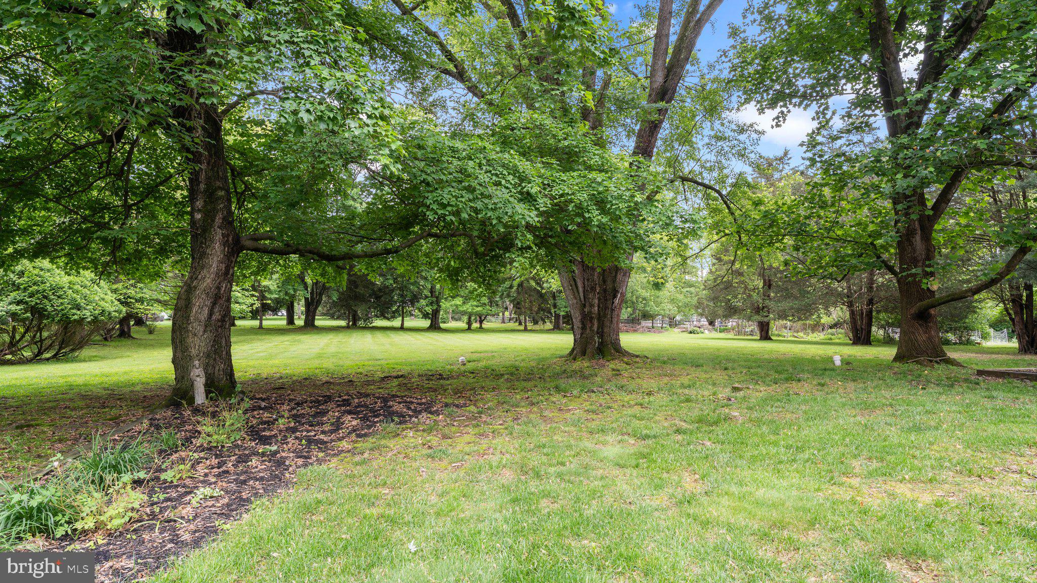 741 Spring Valley Road Doylestown, PA 18901 - Photo 5 of 41 a view of a tree in a yard