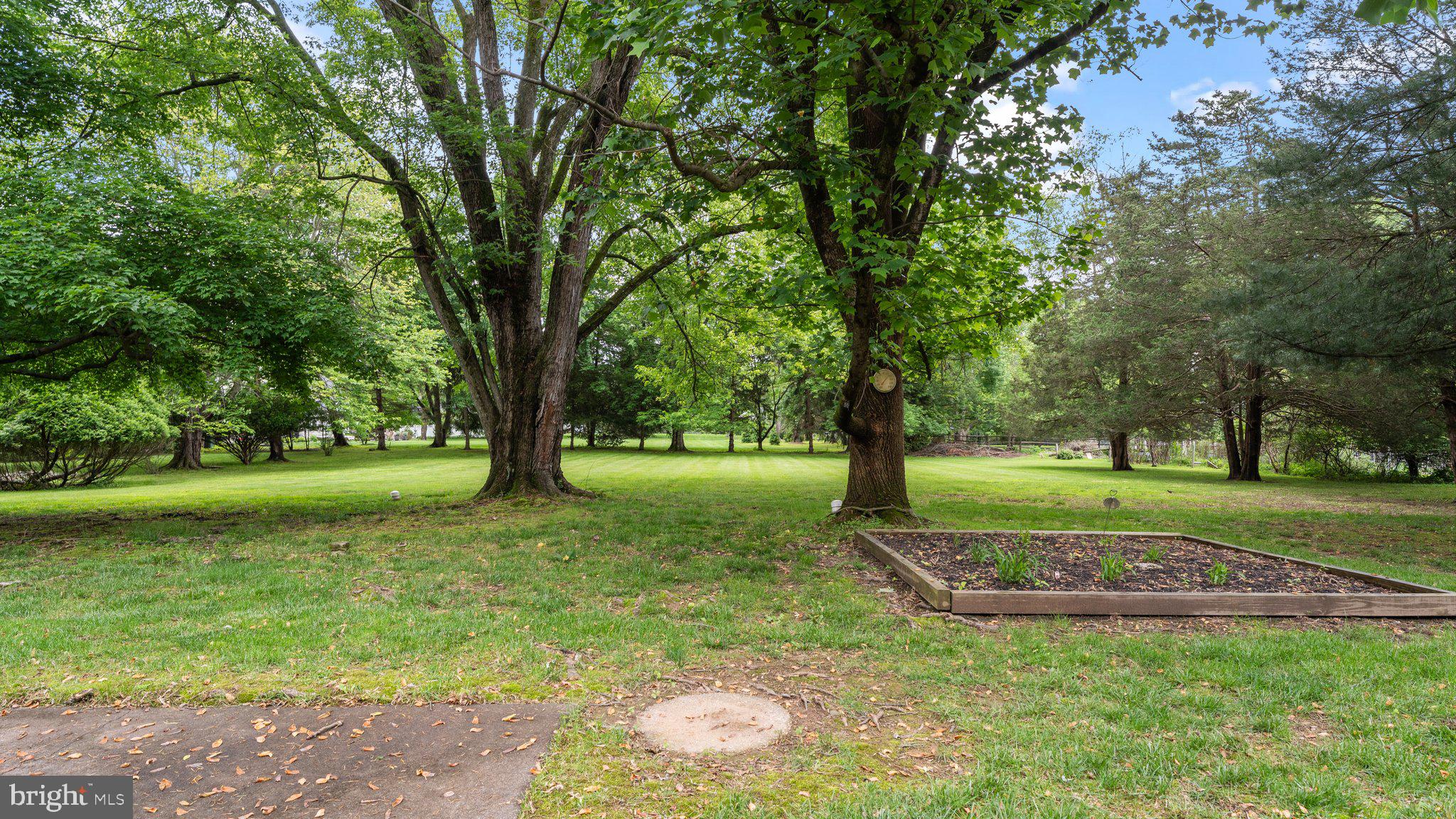 741 Spring Valley Road Doylestown, PA 18901 - Photo 6 of 41 a view of a garden with trees