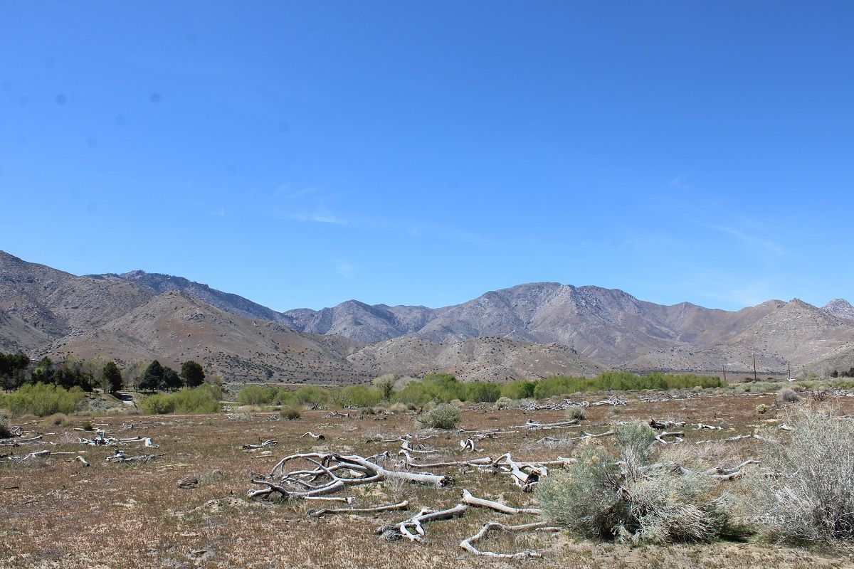 Kelso Valley Road Onyx, CA 93255 - Photo 10 of 16