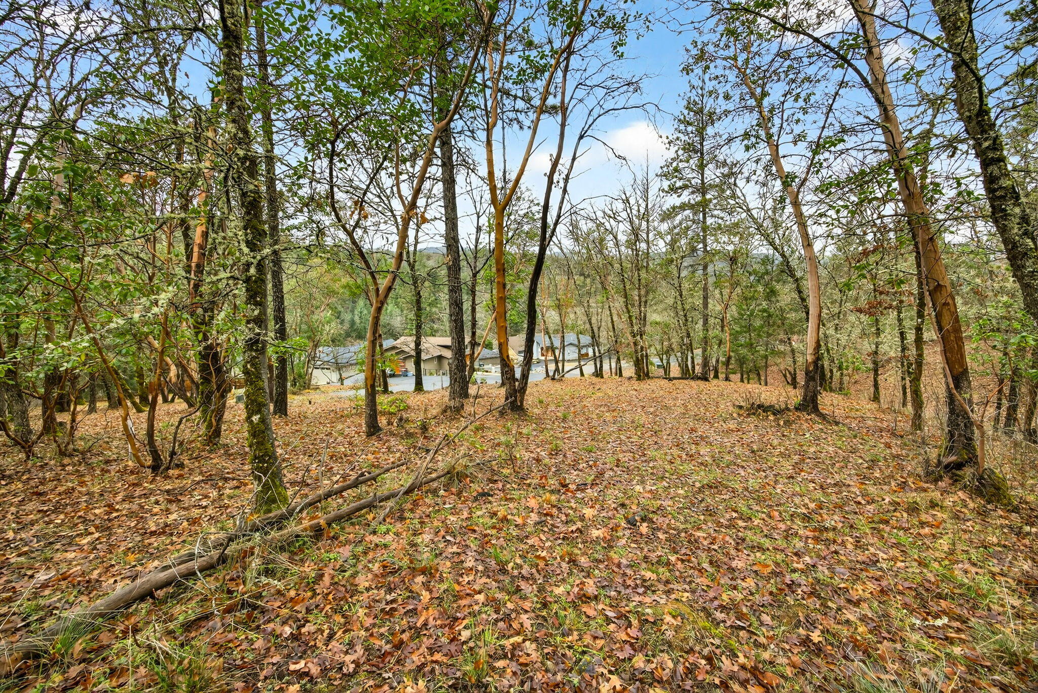 400 Josephines Way Jacksonville, OR 97530 - Photo 2 of 9 a view of outdoor space with trees