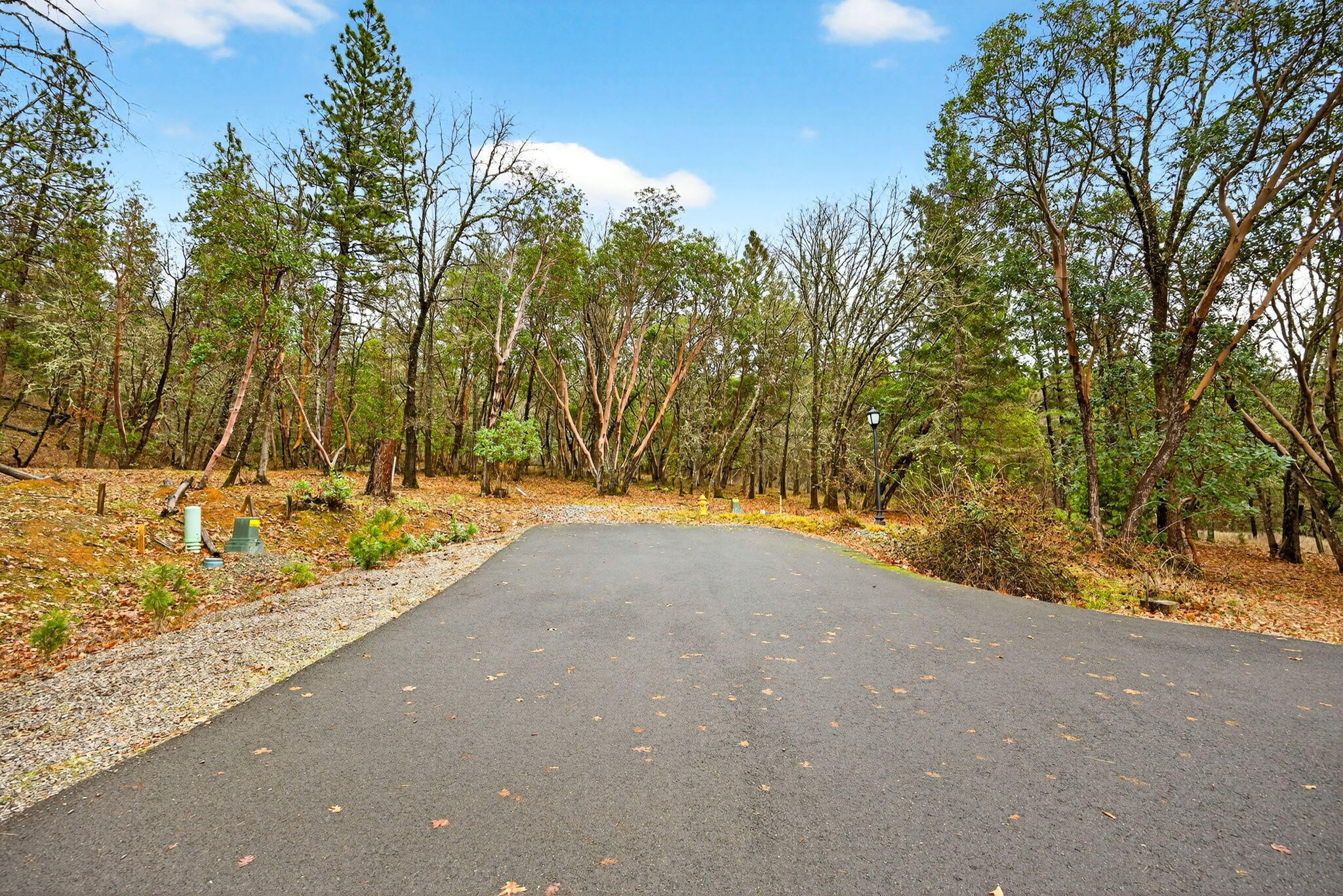 400 Josephines Way Jacksonville, OR 97530 - Photo 3 of 9 a view of a yard with trees
