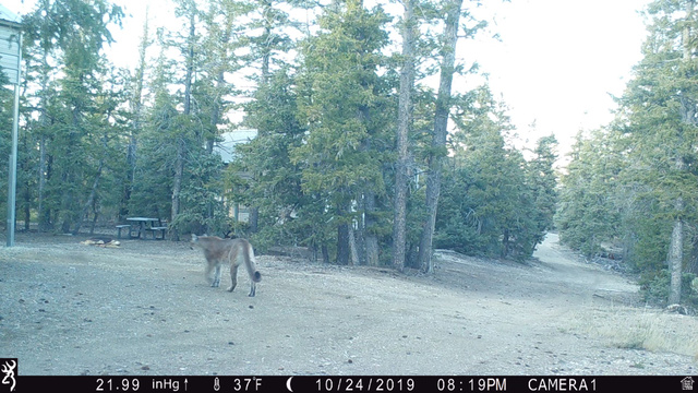 Undisclosed Address Duchesne, UT 84021 - Photo 21 of 29