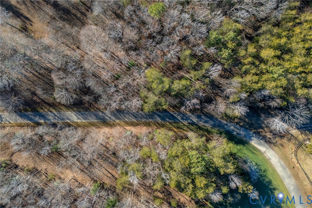 0 Granite Trace Lane Crozier, VA 23039 - Photo 18 of 21 a view of a forest with a tree