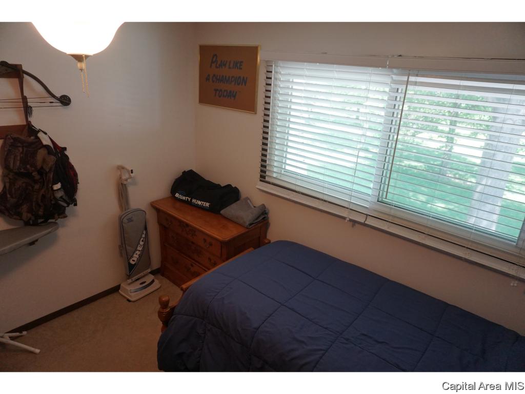 6117 Droege Road Rochester, IL 62563 - Photo 15 of 23