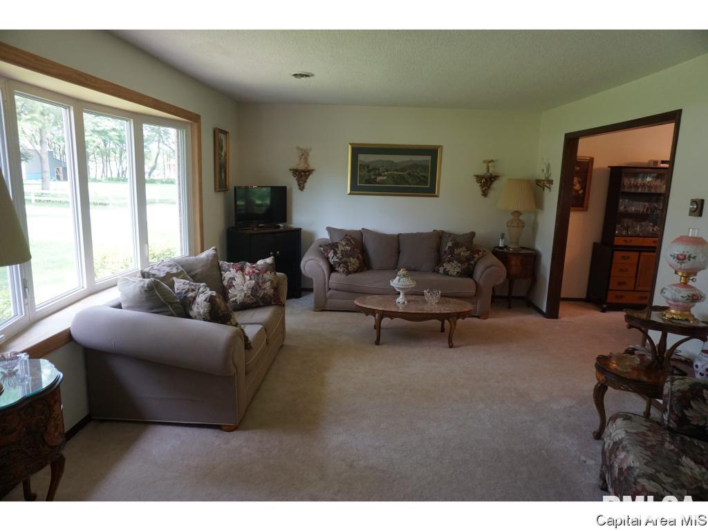 6117 Droege Road Rochester, IL 62563 - Photo 9 of 23