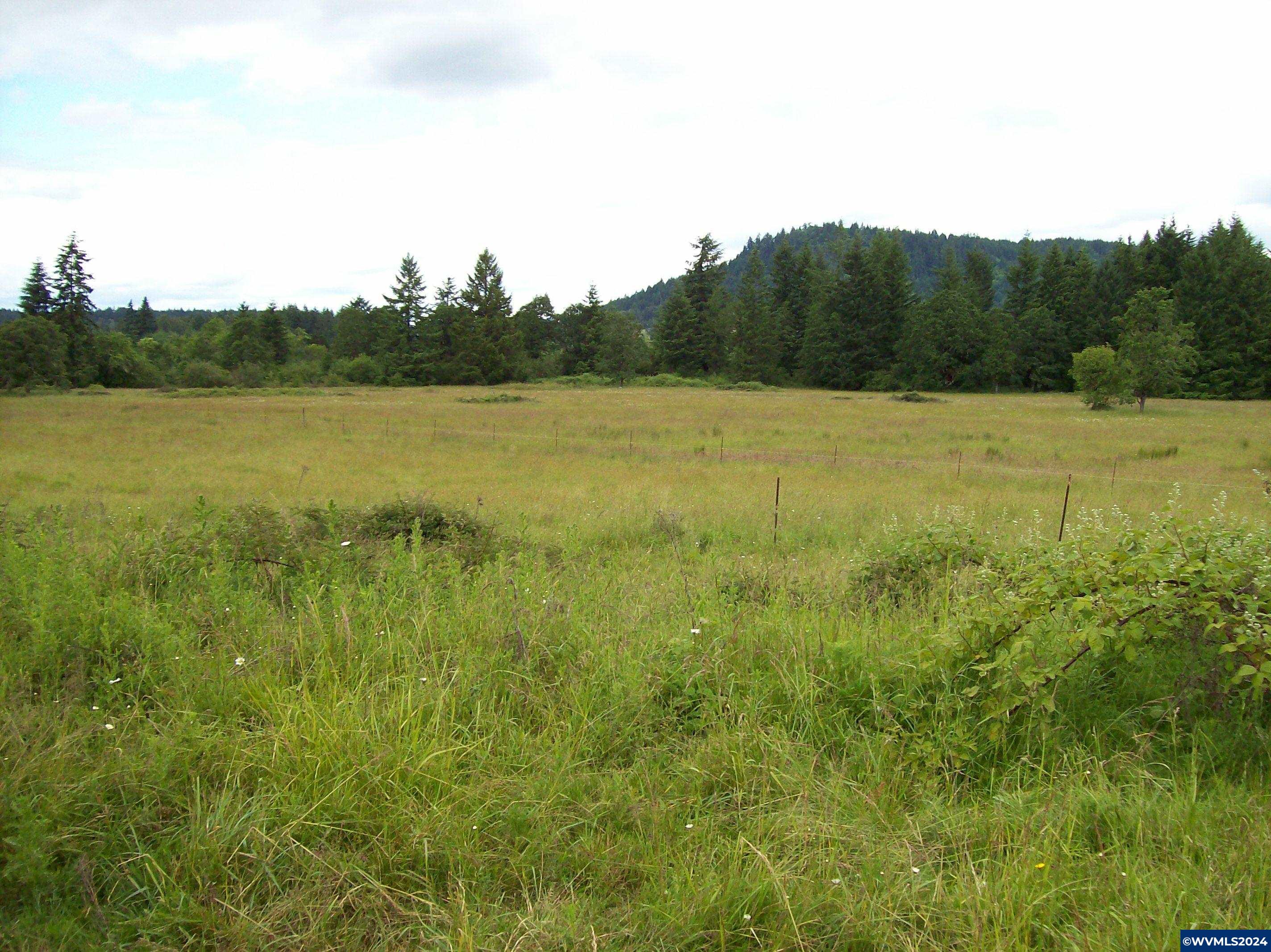 30209 Fairview Road Lebanon, OR 97355 - Photo 26 of 32