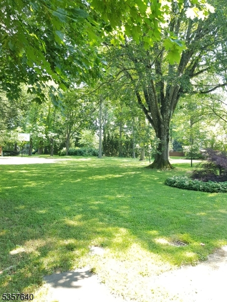 67 Canfield Road Morristown, NJ 07960 - Photo 14 of 21 a view of a trees with a big yard