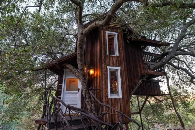 a view of a house with a tree