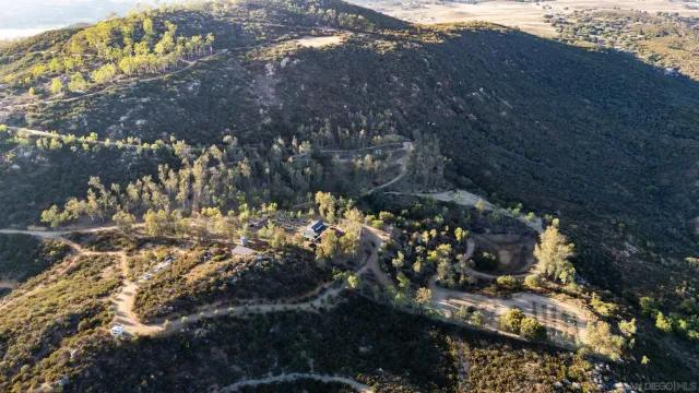 a view of a bunch of flowers and trees