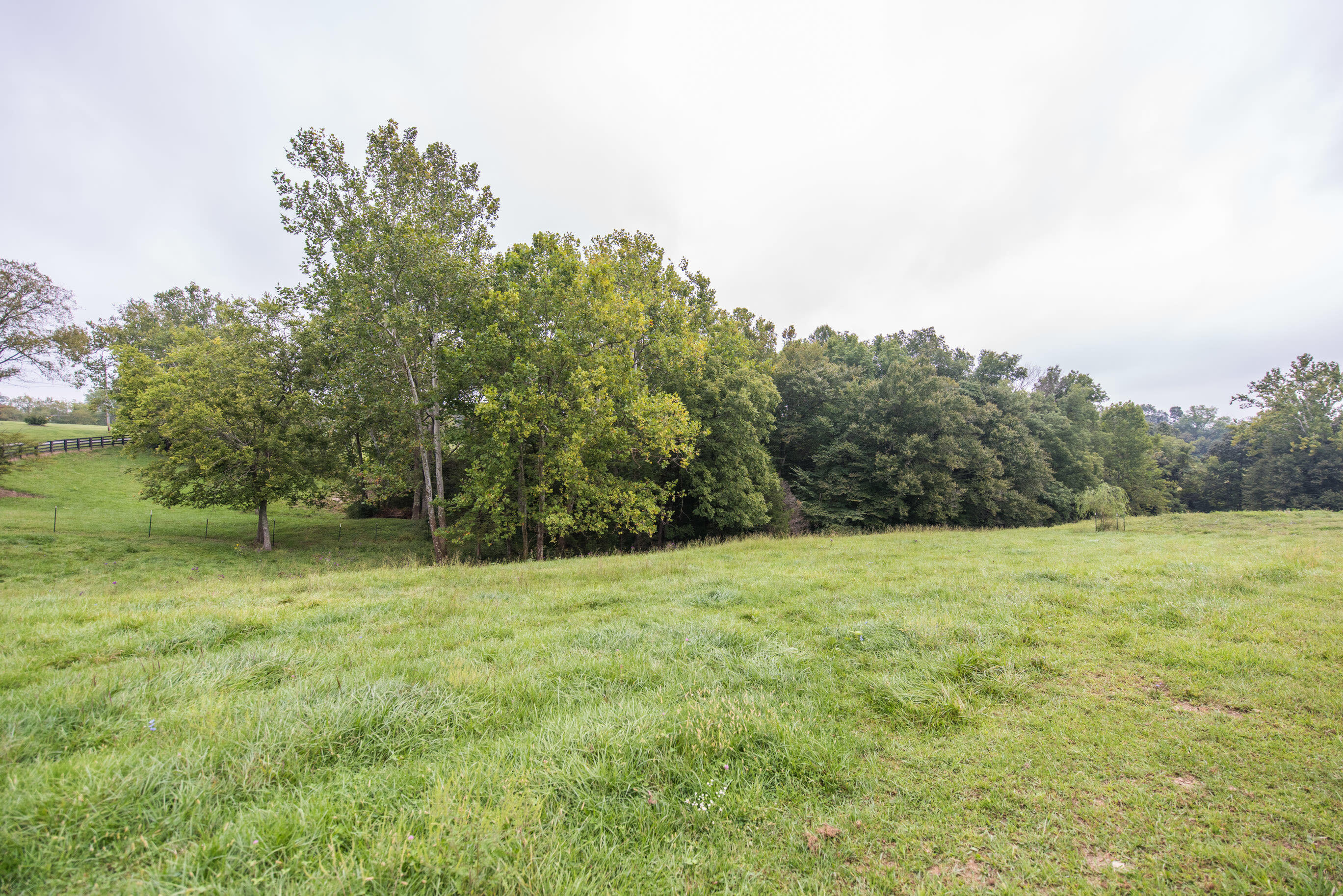 235 Jolly Ridge Road Richmond, KY 40475 - Photo 34 of 41 20200911-235-Jolly-Ridge-Rd-casey-realty