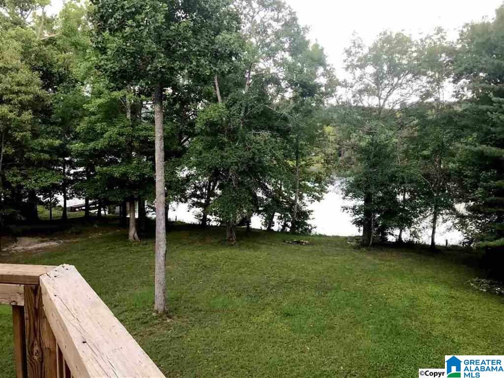 45 County Road 764 Cedar Bluff, AL 35959 - Photo 34 of 38