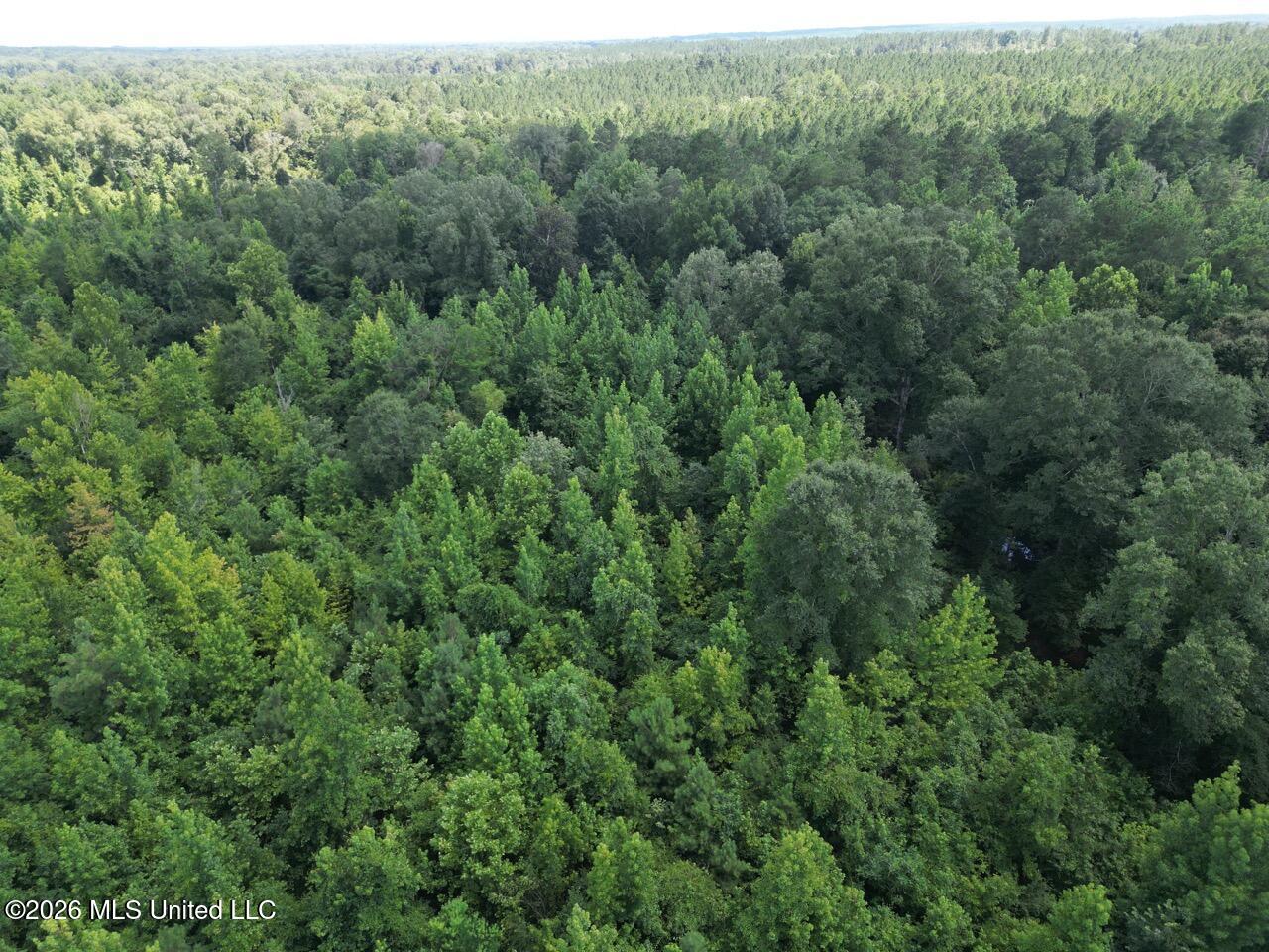 Pam Road Aimwell, LA 71401 - Photo 3 of 38 DJI_0436 Large
