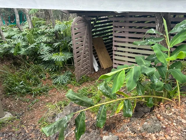 a view of a backyard