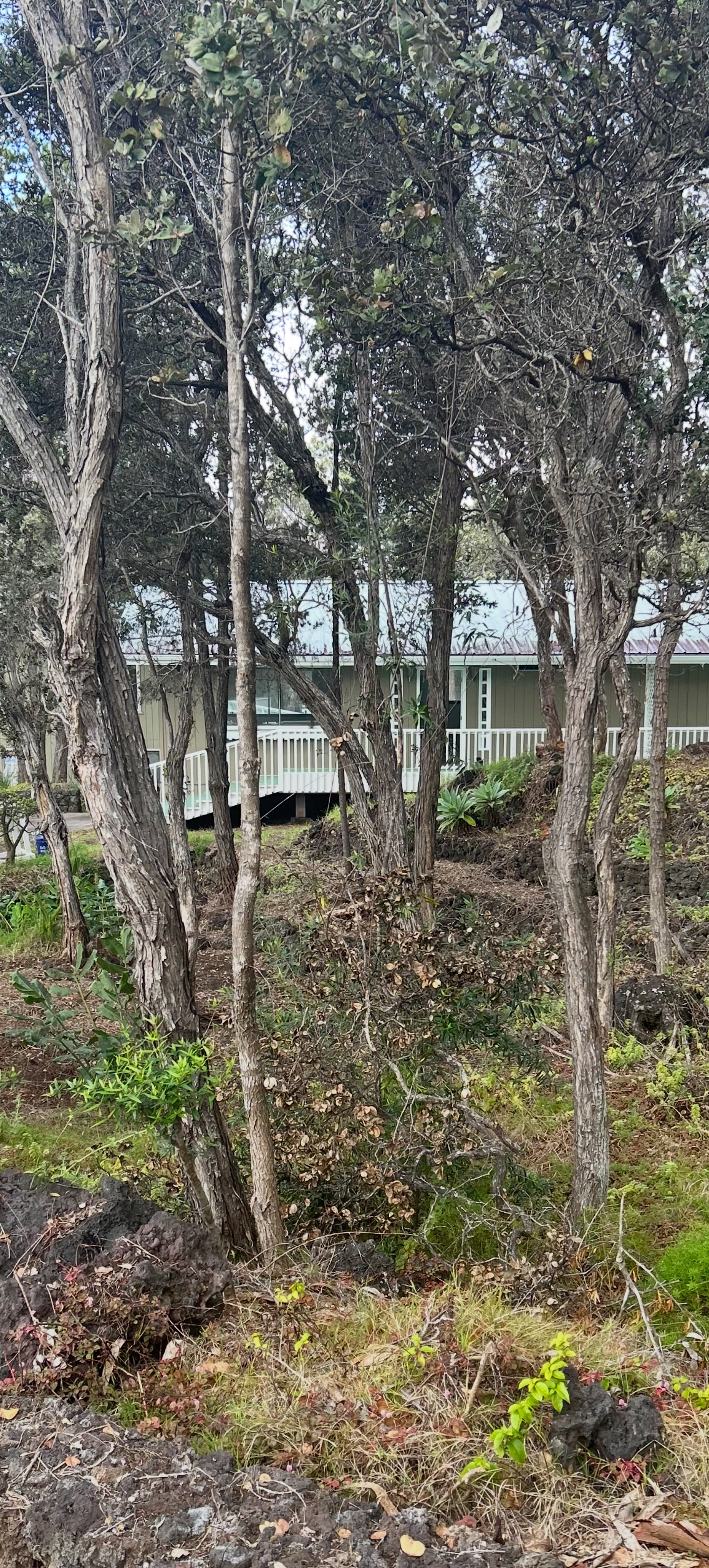92-8845 Reef Parkway Ocean View, HI 96704 - Photo 15 of 23 a backyard of a house with lots of green space