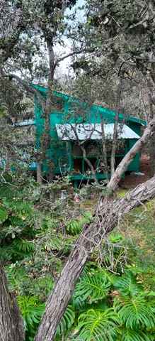 a view of a garden with plants