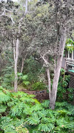 a backyard of a house with lots of green space