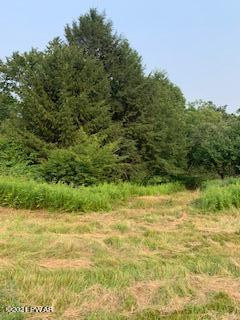 Lot 1 Twin Rocks (rt 191) Road Sterling, PA 18463 - Photo 4 of 5