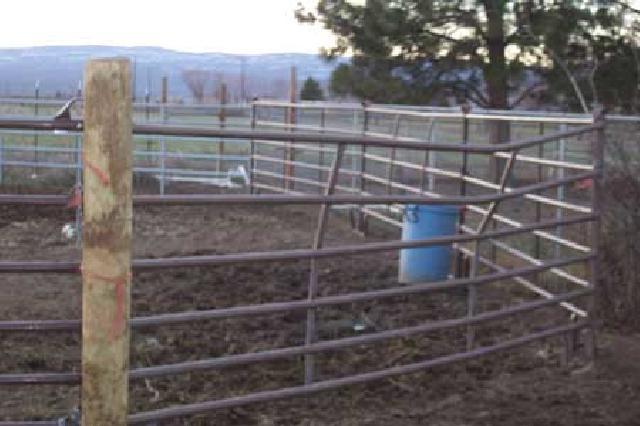 15390 Fisk Road Yakima, WA 98908 - Photo 3 of 7 a view of wooden fence