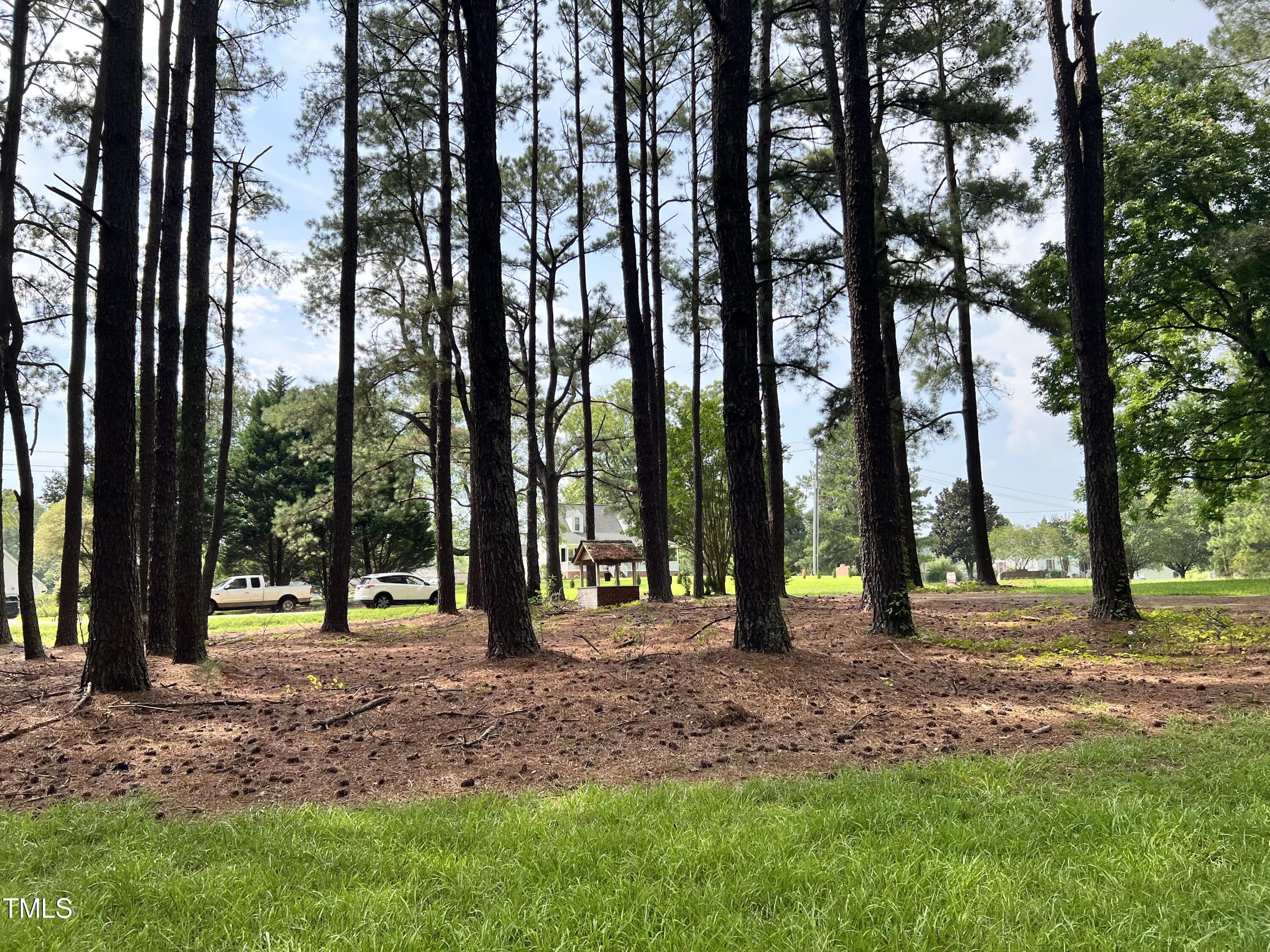 5759 Raleigh Road Benson, NC 27504 - Photo 19 of 21 Front Yard