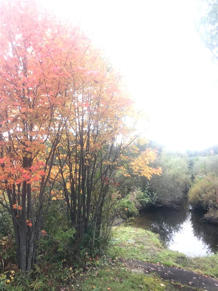 4 Robin Lane Grantham, NH 03753 - Photo 19 of 19