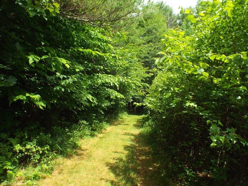 715 Lake House Road Naples, ME 04055 - Photo 26 of 31 Photo