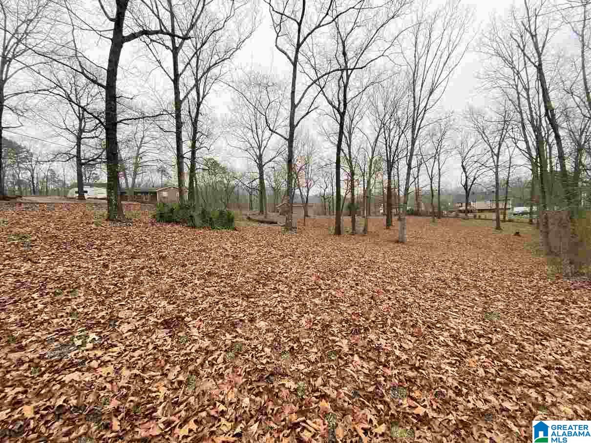 6669 Davison Road Pinson, AL 35126 - Photo 6 of 35