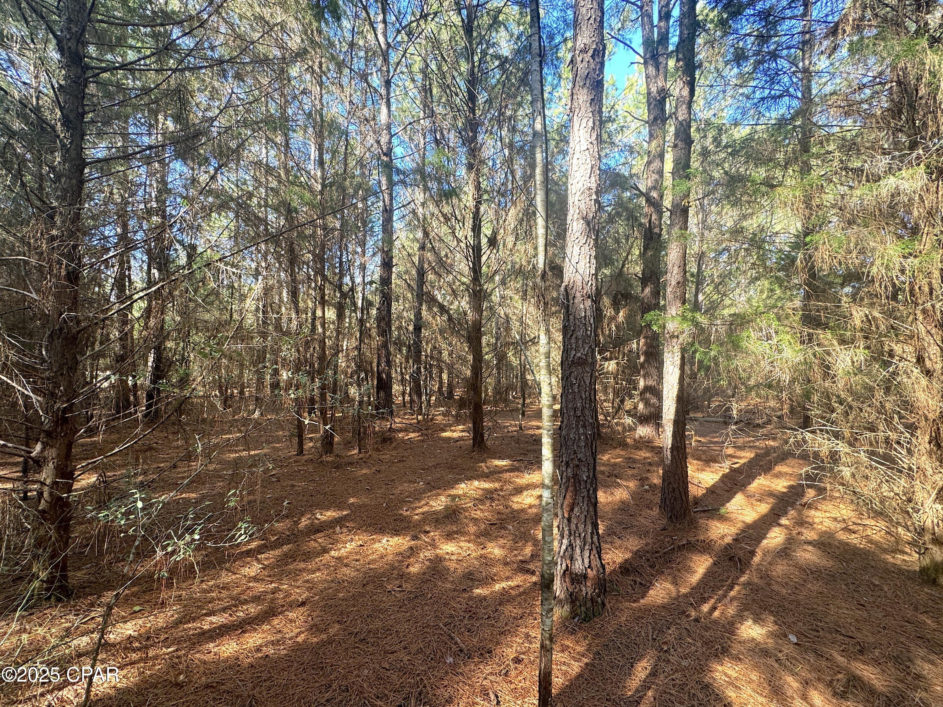 0 Moss Road Bonifay, FL 32425 - Photo 10 of 12 Gallery Image 10