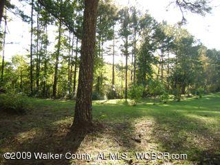 168 McCollum Road Jasper, AL 35501 - Photo 3 of 19 Gallery Image 3