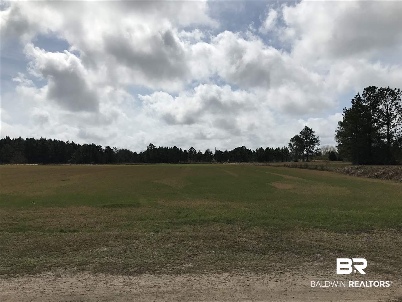 0 Singleton Lane Elberta, AL 36530 - Photo 4 of 5 Facing Southwest